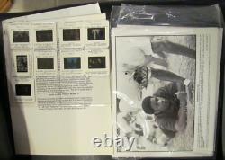 Disney Bueno Vista Press-kit Vintage 2000 Touchstone Walt Disney Slides Photos +