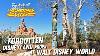 Forgotten Disneyland Props At Walt Disney World