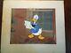 Original Walt Disney Donald Duck Celluloid Drawing 1960s