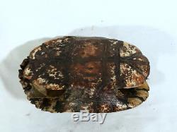 Pirates of the Caribbean, Dead Man's Chest, Real Prop Turtle Shell