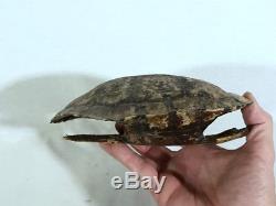 Pirates of the Caribbean, Dead Man's Chest, Real Prop Turtle Shell