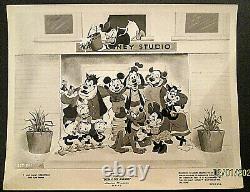 Walt Disney (early 60, S Rare Stills Photo Lot) Classic Early Disney