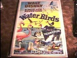 Water Birds Movie Poster'52 Disney Great Art