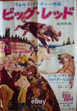 Big Red Japonais B0 Affiche De Film 40x57 Walt Disney 1962 Walter Pidgeon Très Rare
