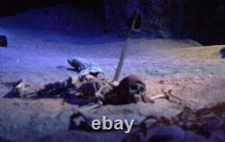 Disney Studio Archive Pirate Sword Prop Pirates Of The Caribbean Dead Man's Cove
