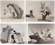 Lot De Photos De Film De Song Of The South Vintage Disney 1946/r1956 Brer Rabbit Fox Bear