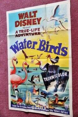 Oiseaux D'eau Disney Originale 1952 Affiche Du Film Et De La Campagne Flyer
