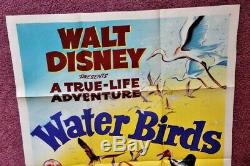 Oiseaux D'eau Disney Originale 1952 Affiche Du Film Et De La Campagne Flyer