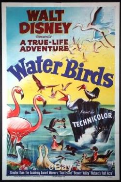 Oiseaux D'eau Walt Disney Adventure Short Oscar 1952 1 Feuille