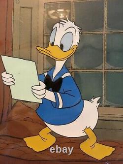 Original Walt Disney Donald Duck Celluloid Drawing Années 1960