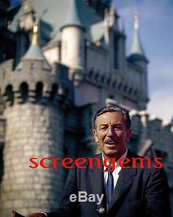 Walt Disney Superbe Photo Grand! Copie D'archive 16x20 Disneyland Méga Rare